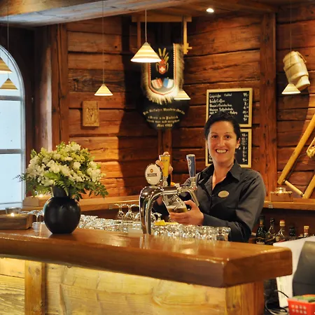 Alpine Perren Hotell
