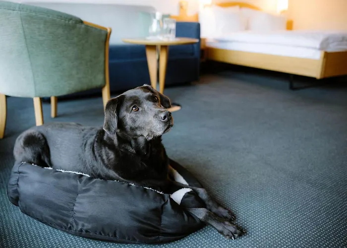 Alpine Perren Szálloda